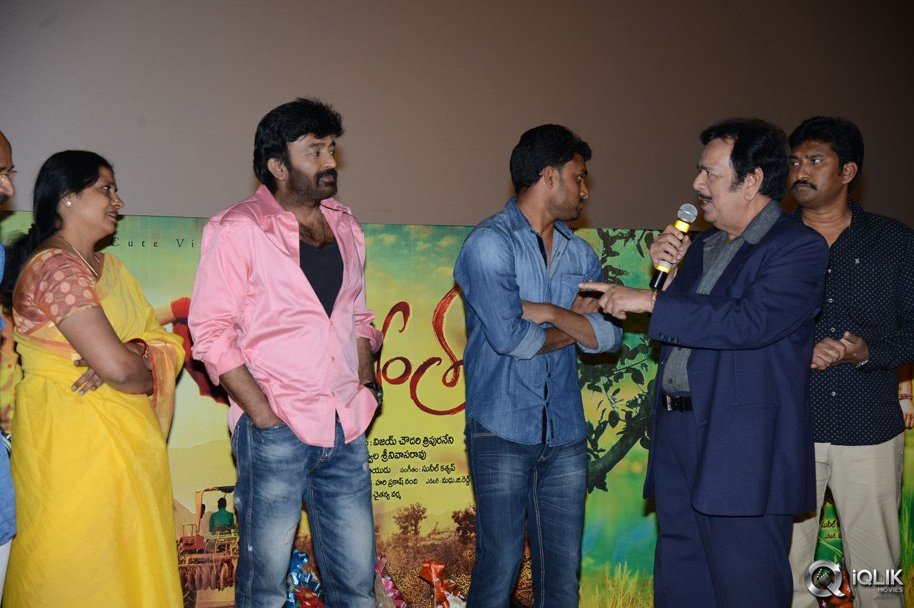 Kavvintha-Movie-Audio-Launch